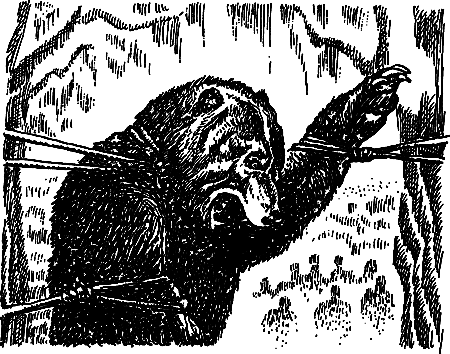 Пещерный лев (сборник) i_121.png