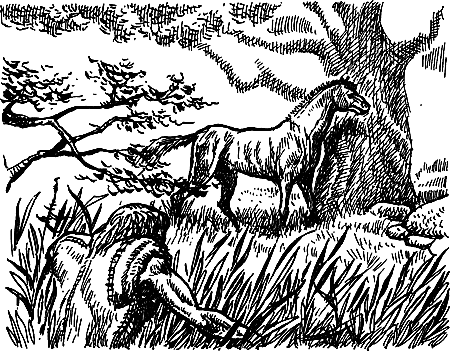 Пещерный лев (сборник) i_123.png