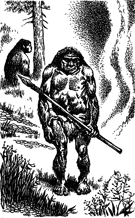 Пещерный лев (сборник) i_017.png