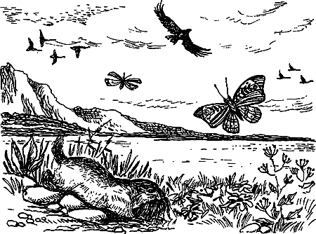 Пещерный лев (сборник) i_019.png
