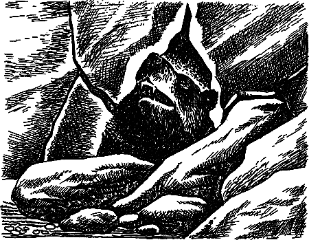 Пещерный лев (сборник) i_035.png