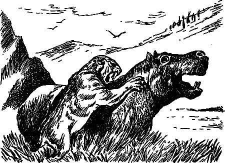 Пещерный лев (сборник) i_042.png
