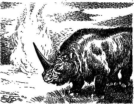 Пещерный лев (сборник) i_044.png
