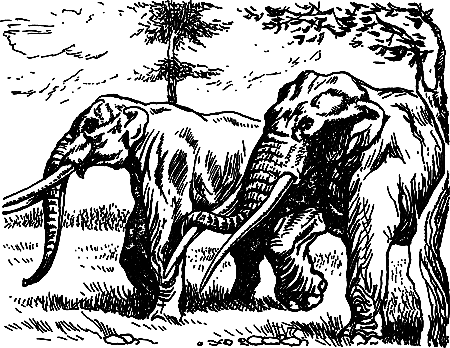 Пещерный лев (сборник) i_046.png
