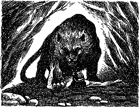 Пещерный лев (сборник) i_048.png