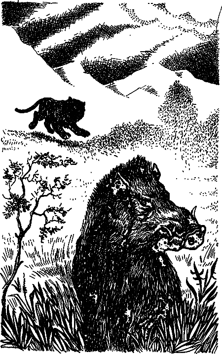 Пещерный лев (сборник) i_049.png
