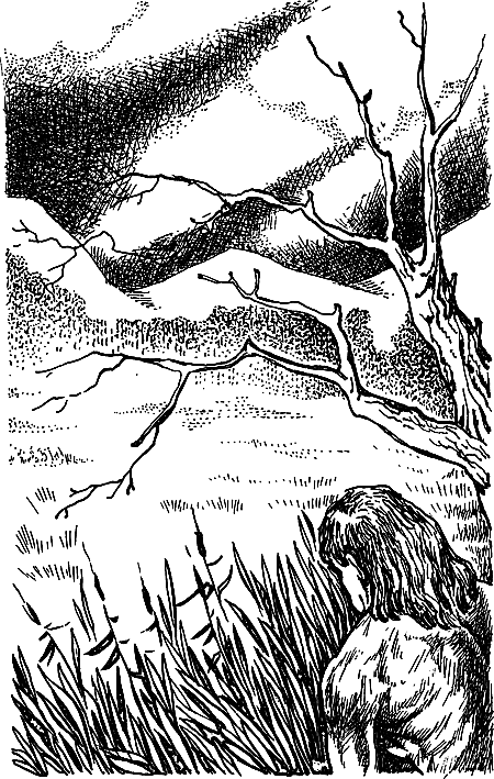 Пещерный лев (сборник) i_050.png