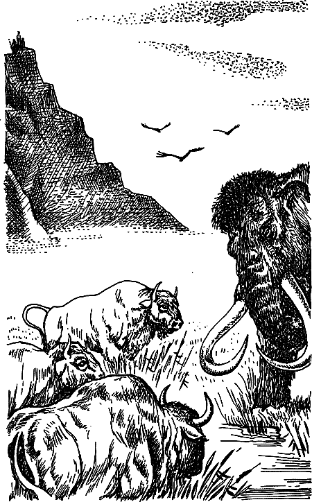 Пещерный лев (сборник) i_009.png