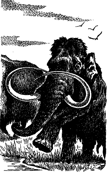Пещерный лев (сборник) i_010.png