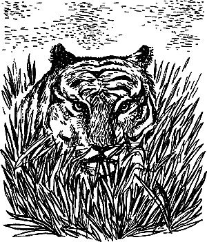 Пещерный лев (сборник) i_052.png