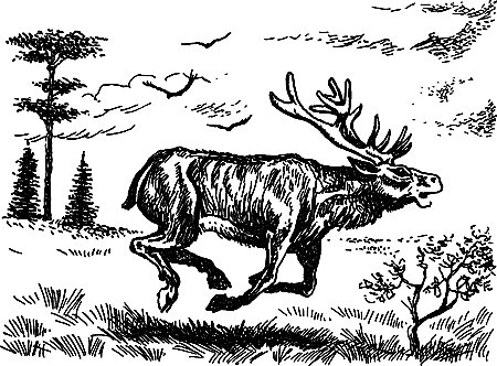 Пещерный лев (сборник) i_012.png