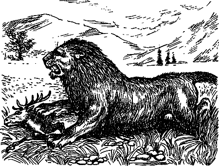 Пещерный лев (сборник) i_069.png
