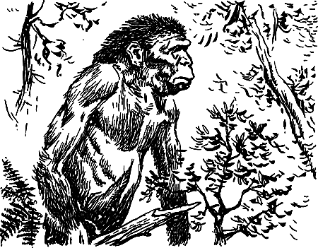 Пещерный лев (сборник) i_072.png