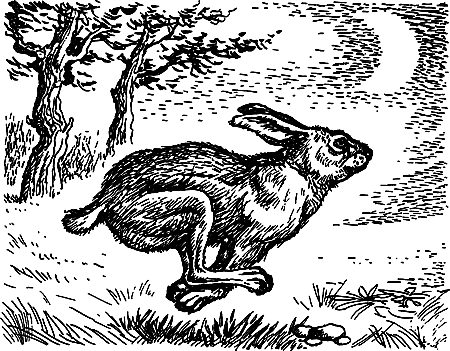 Пещерный лев (сборник) i_074.png