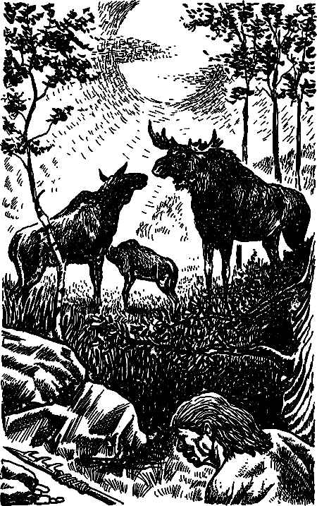 Пещерный лев (сборник) i_078.png