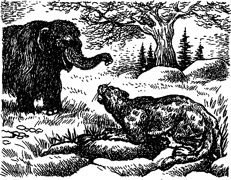Пещерный лев (сборник) i_079.png