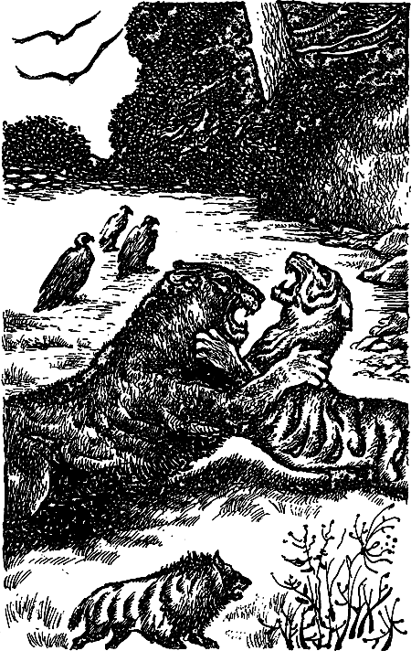 Пещерный лев (сборник) i_013.png