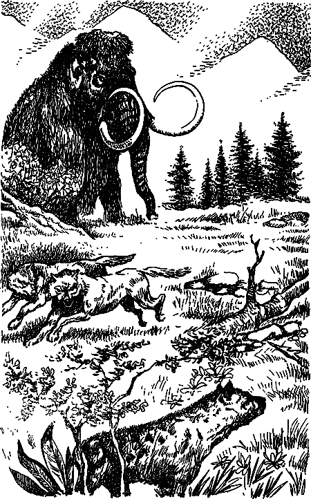 Пещерный лев (сборник) i_081.png