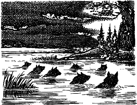 Пещерный лев (сборник) i_088.png