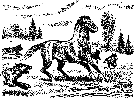 Пещерный лев (сборник) i_014.png