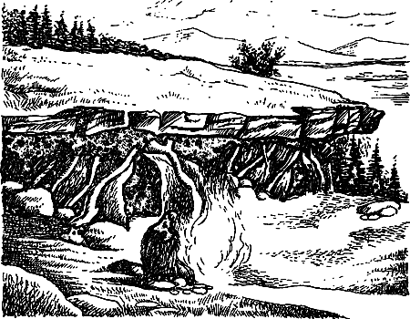 Пещерный лев (сборник) i_096.png