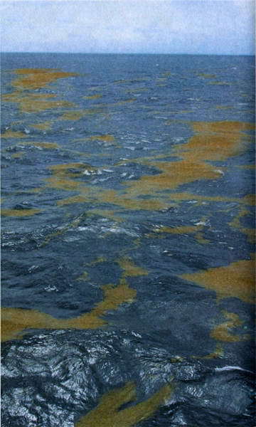 Загадки и тайны морей и океанов i_014.jpg