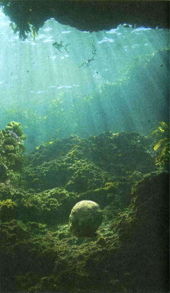 Загадки и тайны морей и океанов i_019.jpg