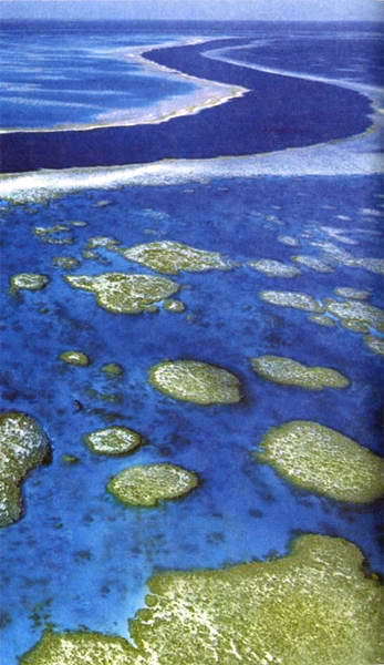 Загадки и тайны морей и океанов i_023.jpg