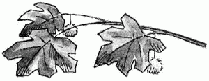 Рассказы pic_126.png