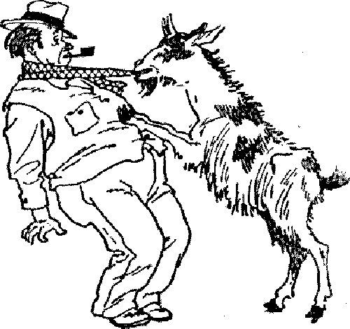 Приключения Ломтика i_023.png
