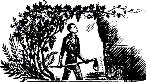 Мне есть что сказать Вам, люди (сборник) i_002.png