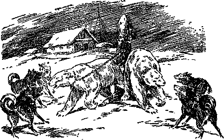Гость из Космоса pic_26.png