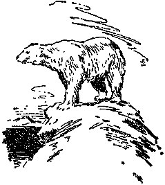 Гость из Космоса pic_27.png