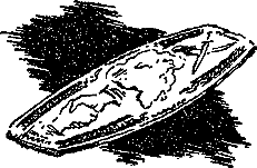 Гость из Космоса pic_41.png