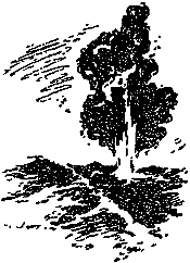 Гость из Космоса pic_46.png