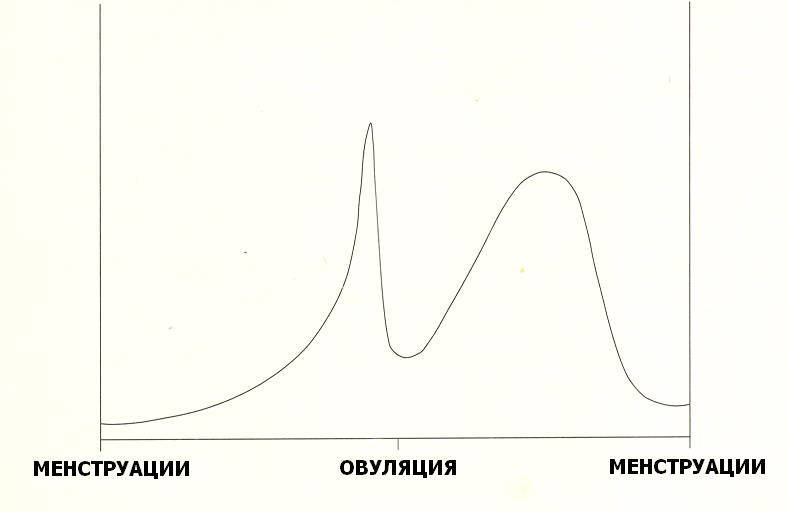 Преодолеваем пищевые соблазны _1.jpg