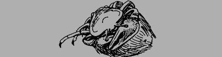 Как я ловил диких зверей img49.png