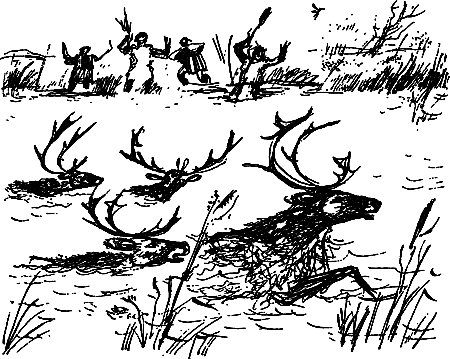 Жертвы дракона (сборник) i_178.png