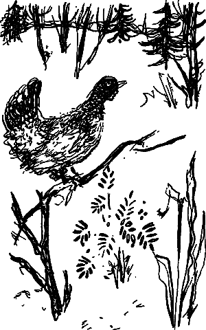 Жертвы дракона (сборник) i_181.png