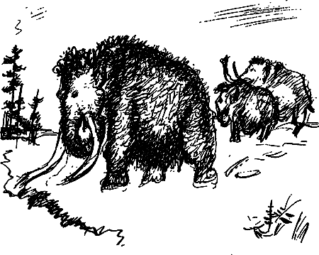 Жертвы дракона (сборник) i_039.png