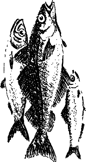 Жертвы дракона (сборник) i_068.png