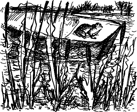 Жертвы дракона (сборник) i_073.png