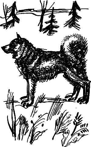 Жертвы дракона (сборник) i_086.png