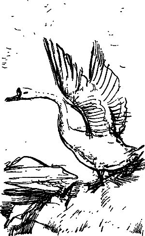 Жертвы дракона (сборник) i_120.png