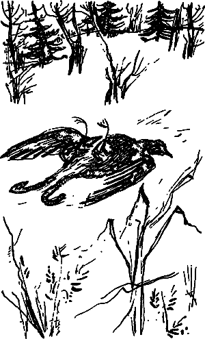 Жертвы дракона (сборник) i_160.png