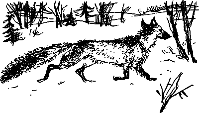 Жертвы дракона (сборник) i_167.png