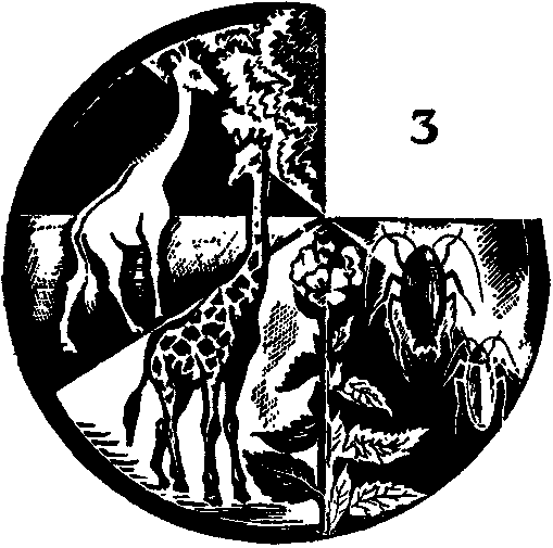 Дарвинизм в XX веке i_008.png