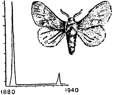 Дарвинизм в XX веке i_014.png