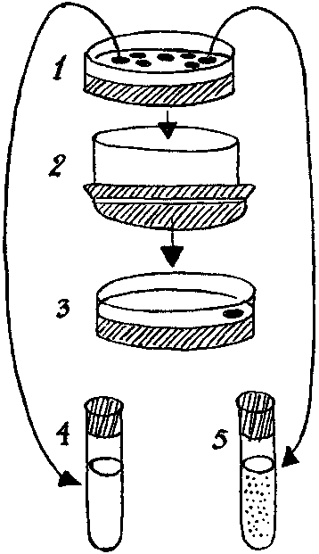 Дарвинизм в XX веке i_021.png