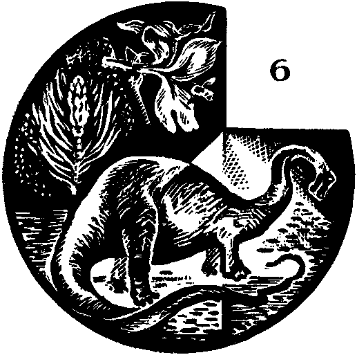 Дарвинизм в XX веке i_022.png